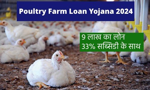 Poultry Farm Loan Yojana 2024